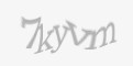 Защитный код